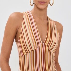 Reformation Bowie Knit Multicolor Striped Tank Top